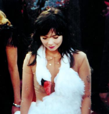 Artiest Björk in de zgn. zwanenjurk van ontwerper Marjan Pejoski. Ze droeg deze jurk tijdens de Academy Awards in 2001.